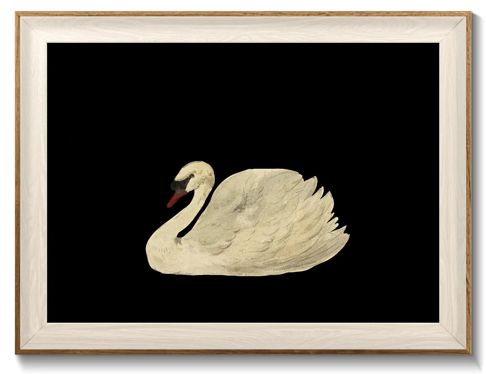 Framed Canvas Wall Art Swan Decor Vintage Wall Art Animal Oil Painting Bathroom Wall Decor Swan Vintage Art Prints for Wall Decor Vintage Home Decor for Living Room Bedroom Kitchen - 12x16 inches